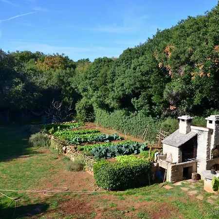 Gasparini * بولا